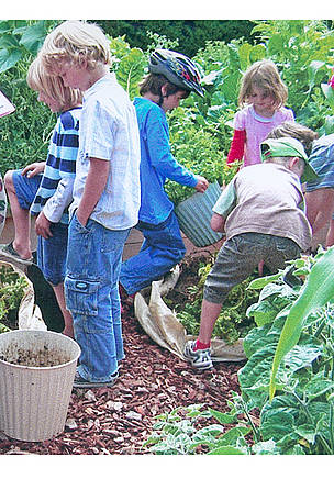 Children harvesting potatoes, Lincoln Envirotown. The school is 1 of 18 that received funding from ...
© Cello Robertson / LET Children harvesting potatoes, Lincoln Envirotown. The school is 1 of 18 that received funding from ...
© Cello Robertson / LET