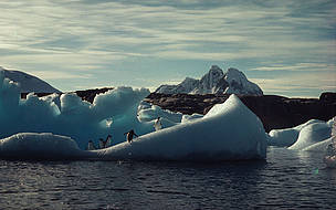 Penguins on an iceberg Antarctica
© Cassandra Phillips / WWF
© Cassandra Phillips / WWF